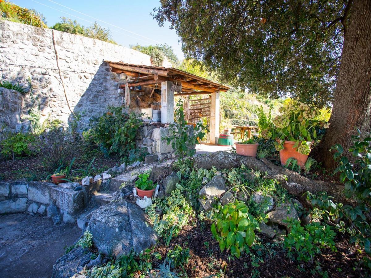 Country House Bakicevo Cilipi Phòng bức ảnh