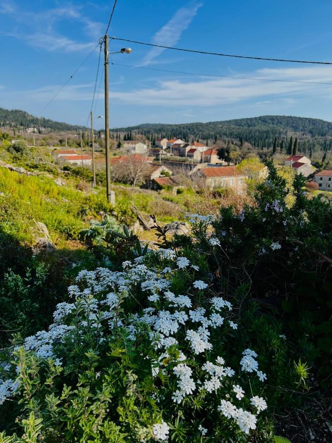 Country House Bakicevo Cilipi Ngoại thất bức ảnh