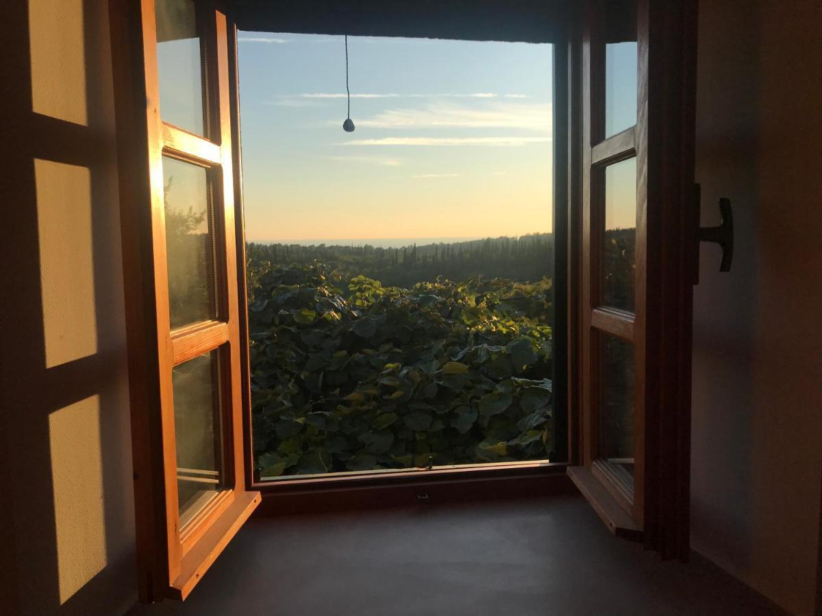 Country House Bakicevo Cilipi Ngoại thất bức ảnh